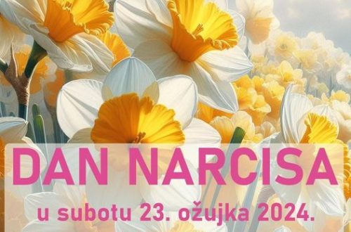 Pozivamo vas na Dan narcisa